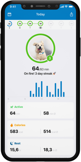 Best GPS Pet Tracker for Dogs No Subscription needed Ironclad Family